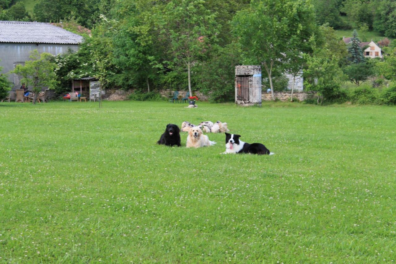 Goute La Vie Bed and Breakfast Marchamp Exteriör bild
